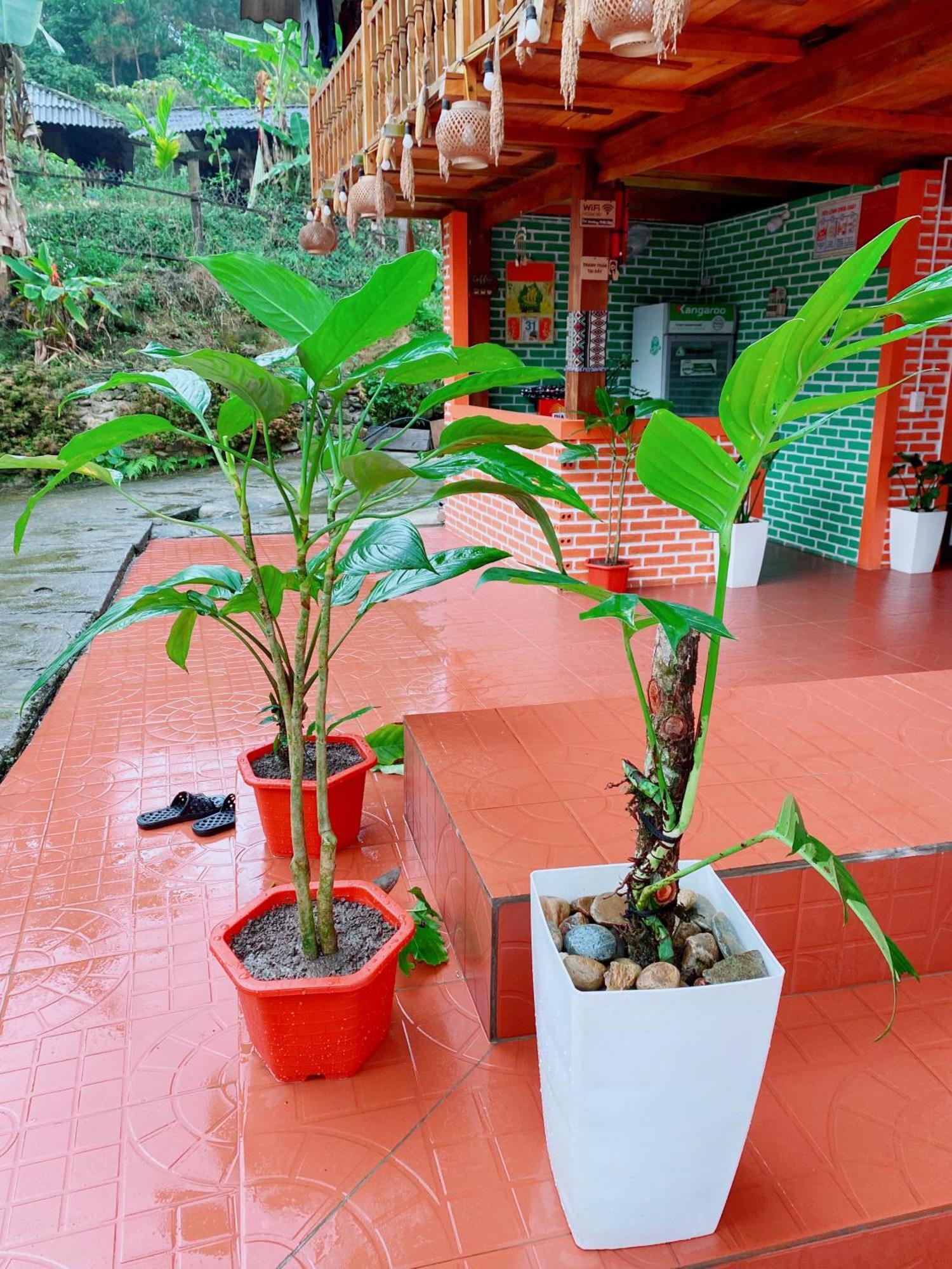 Duy Homestay Du Gia Lang Cac Exterior photo