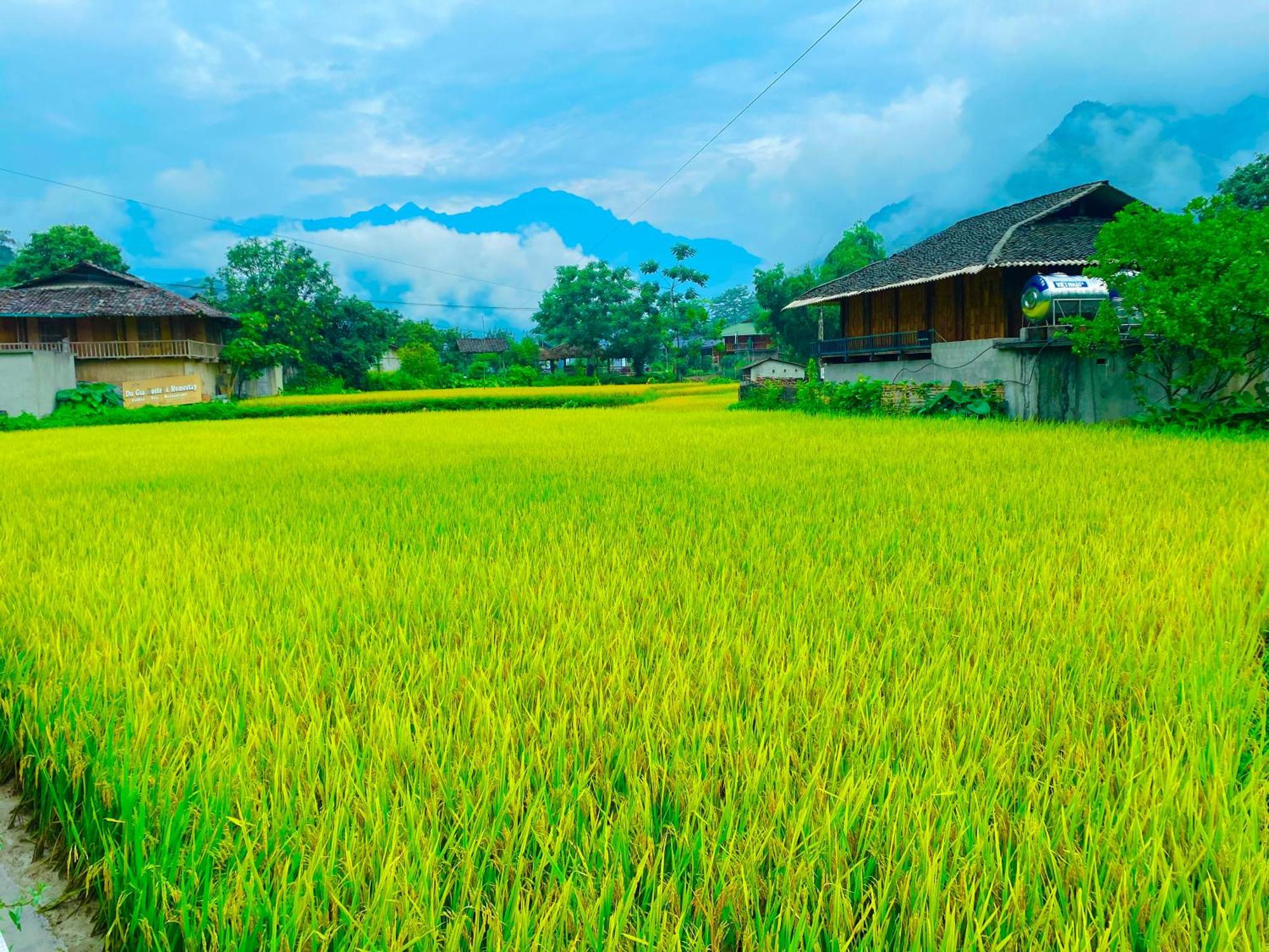 Duy Homestay Du Gia Lang Cac Exterior photo